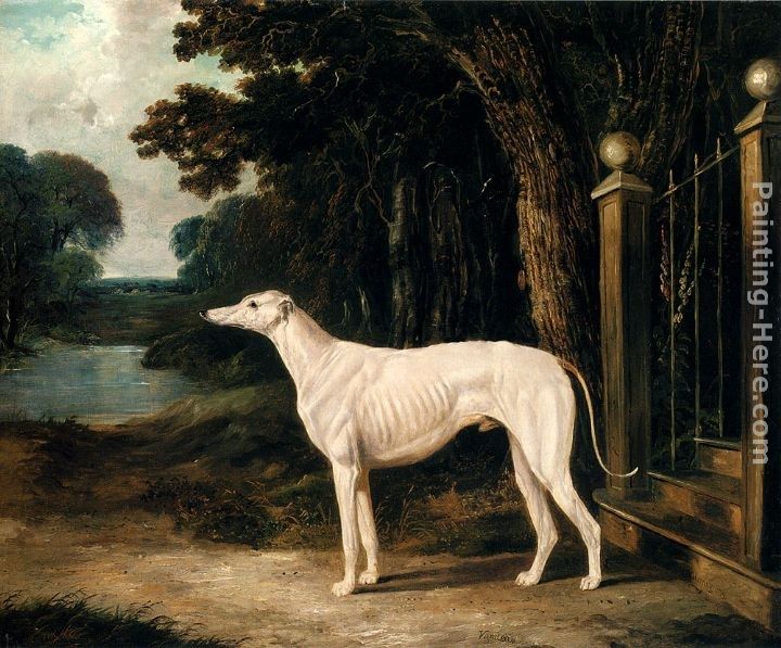 John Frederick Herring Snr Vandeau, A White Greyhound